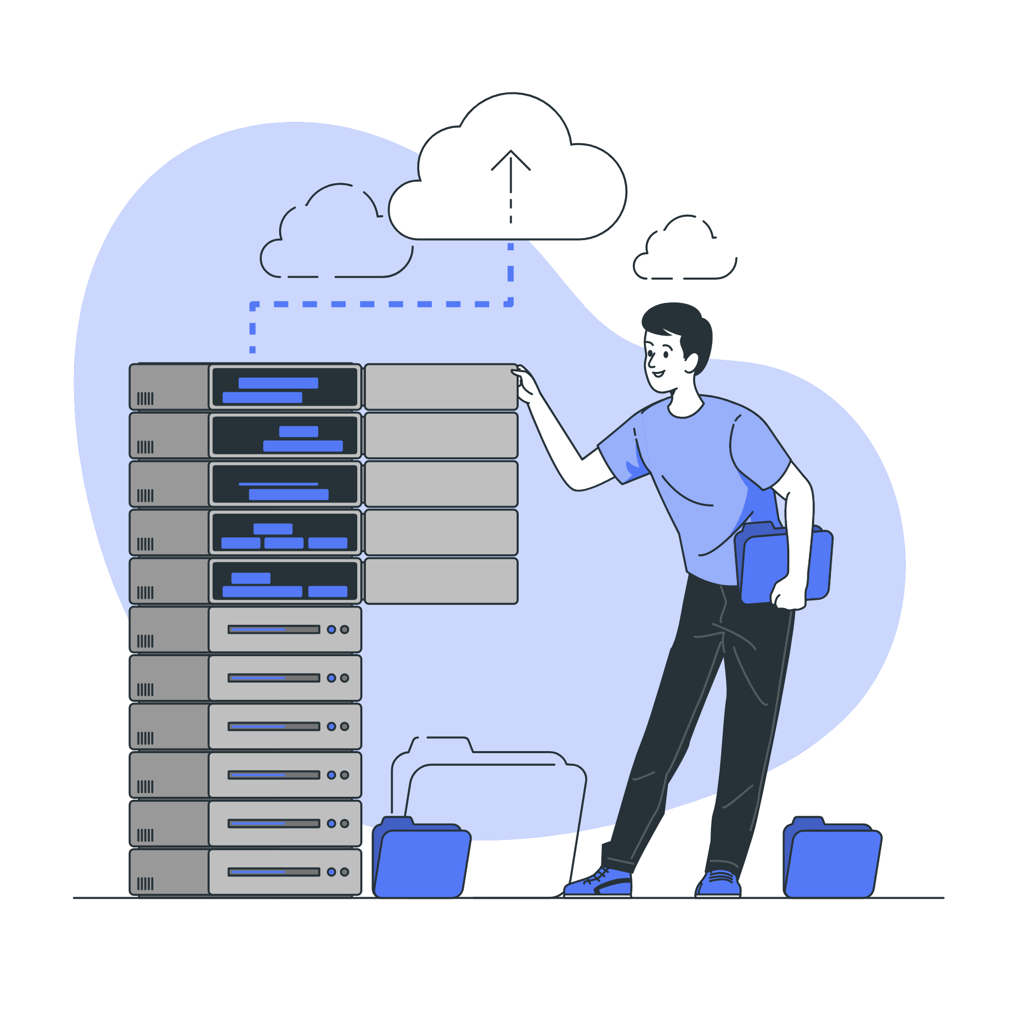 Networking Services